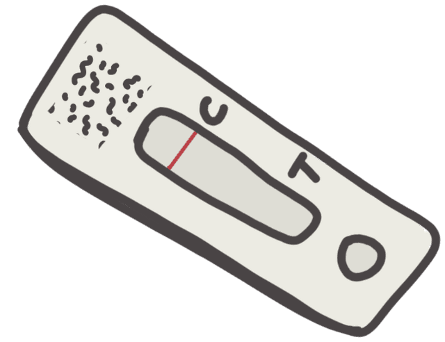 Lateral Flow Test (as drawn by me!)